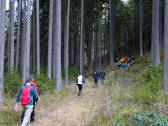  Blick auf die Wanderstrecke 