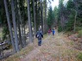  Blick auf die Wanderstrecke entlang der Zwettl 