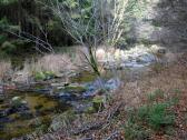  Impression von der Zwettl 