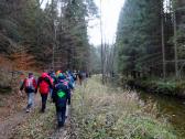  Blick auf die Wanderstrecke entlang der Zwettl 