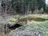  kleine Wehr in der Zwettl 