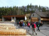  Marathonis bei der Klingenmhle - Sgewerk Dorn 