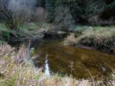 Impression von der Zwettl 