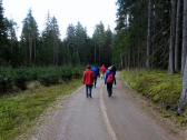  Blick auf die Wanderroute zur Holzmhle 