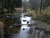  Impression von der Zwettl 