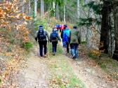  Blick auf die Wanderstrecke zur L8251 