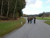  Wanderroute kurz auf der L8251 