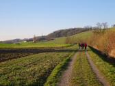  Wanderroute entlang des Moosbachl 