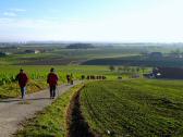  nochmals der Blick zuck auf die Wanderstrecke 