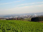  der schne Fernblick nach Enns - Bild gezoomt 