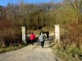  Blick auf die Wanderstrecke zur Tillysburg 