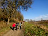 Blick auf den Wanderweg zur Tillysburg 