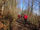  Blick auf den Wanderweg zur Tillysburg 