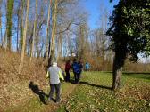  Blick auf den Wanderweg zur Tillysburg 