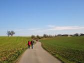 Blick auf die Wanderstrecke Richtung Rabenberg zu den Gehften Frstweger