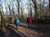  Wanderroute durch den Erholungswald Eichberg 