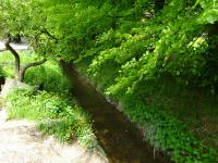  kleiner Bach bei Harland 