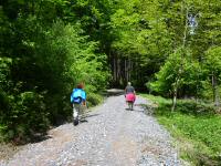  Wanderroute durch den Buchenwald 