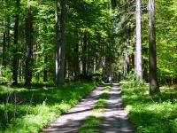  Wanderroute durch den Buchenwald 