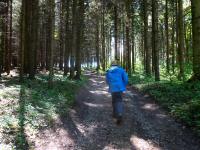  Wanderroute nach Weitgraben 