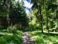  Wanderroute durch den Bannholz 
