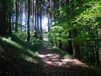  Wanderroute durch den Bannholz 