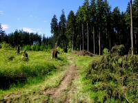  Wanderroute durch den Bannholz 