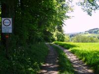  Blick auf die Wanderstrecke 