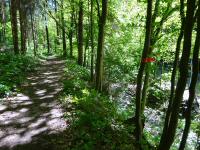  Wanderroute im Blindbachtal 