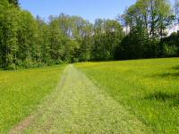  Wanderroute im Blindbachtal 