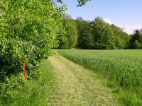  Blick auf die Wanderstrecke 