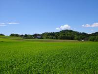  schöner Blick zurück 