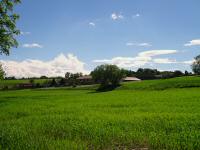  Fernblick zum Weiler Thalling 