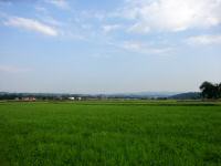  Fernblick nach Wieselburg 