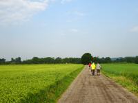 Blick auf die Wanderstrecke 