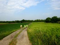  Blick auf die Wanderstrecke 