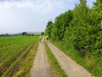  Blick auf die Wanderstrecke 