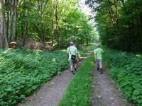  Wanderroute durch den Mooswald 