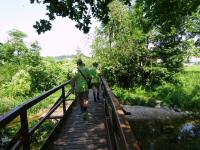  Wanderroute über den Steg über die Kleine Erlauf 