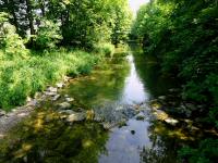  Blick vom Steg auf die Kleine Erlauf 