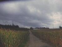  Blick auf die Wanderstrecke 