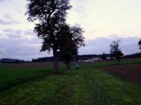  Blick auf die Wanderstrecke 