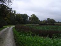  Wanderroute nach Sankt Veit 