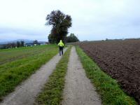 Wanderroute auf der Burnerhöhe 