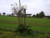  Wegkreuz an der Lindenstraße 
