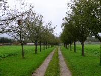  Blick auf die Wanderstrecke zur L6263 