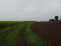 Blick auf die Wanderstrecke 