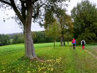  Blick auf die Wanderstrecke 