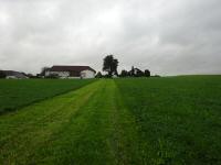  Blick auf die Wanderstrecke 