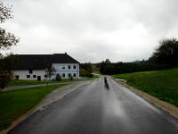  Wanderroute kurz auf der L6231 